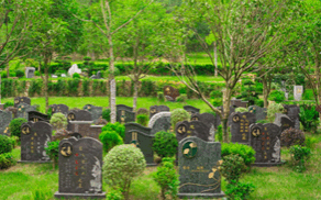 杭州树葬陵园